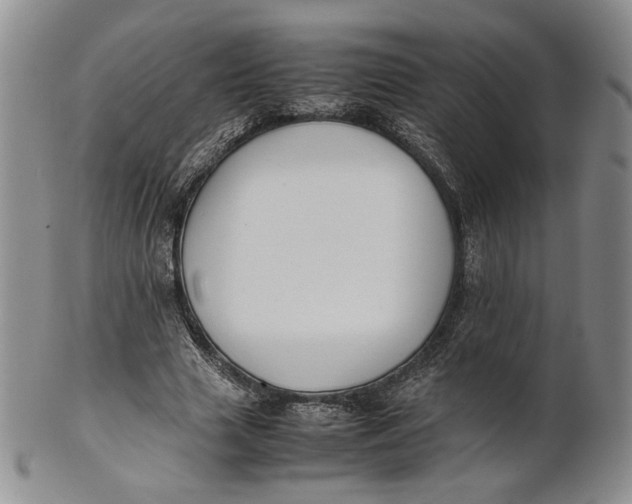 X0000100770633200807101752