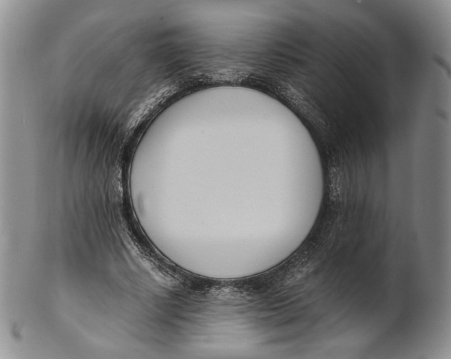 X0000100770634200807101752