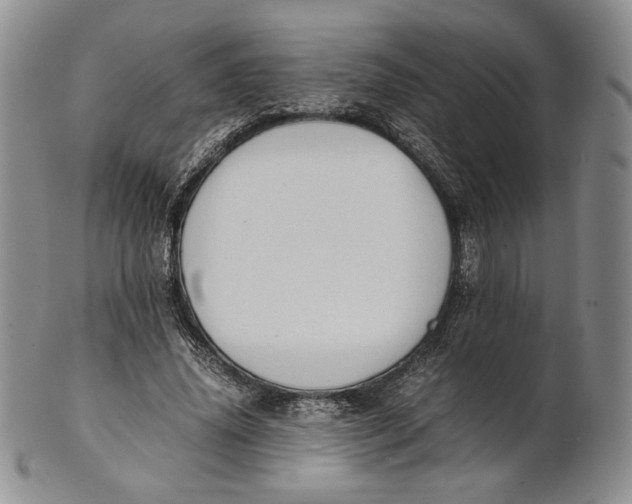 X0000100770636200807101752