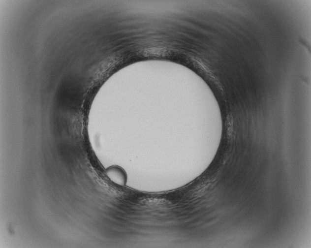 X0000100770637200807101752