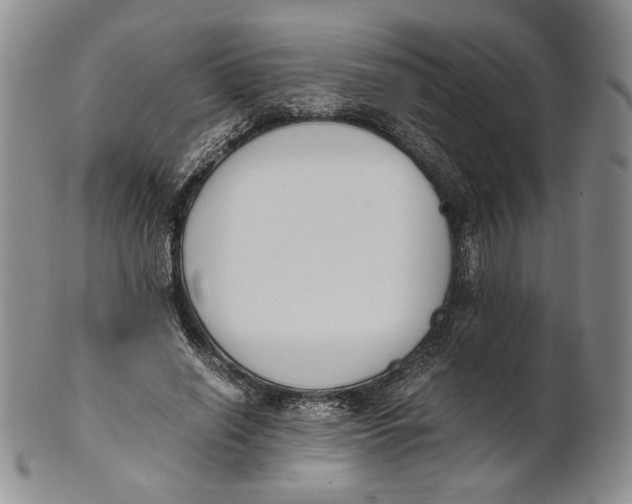 X0000100770638200807101752