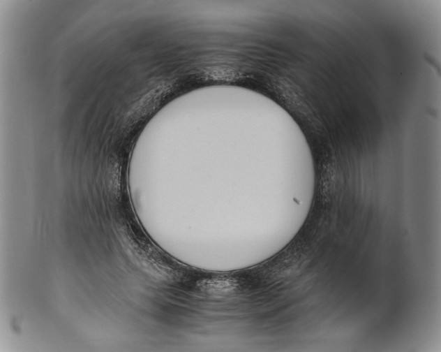 X0000100770639200807101752