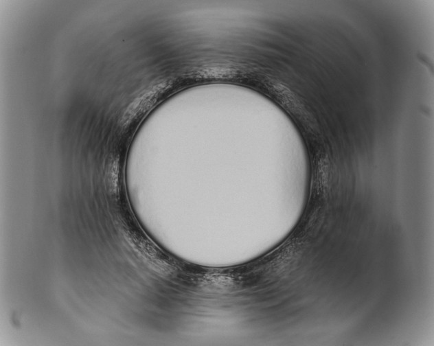 X0000100770640200807101752