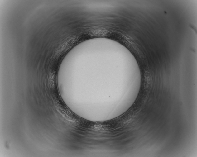 X0000100770641200807101752