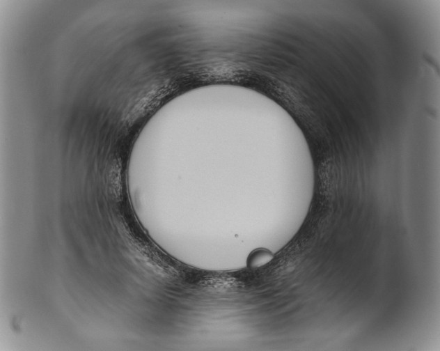 X0000100770642200807101752