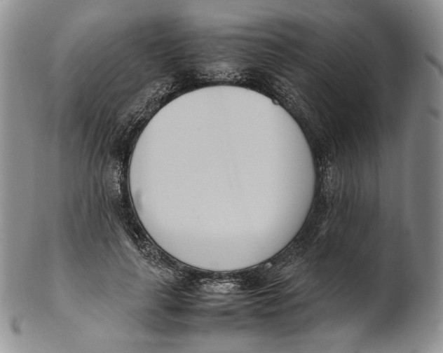 X0000100770643200807101752