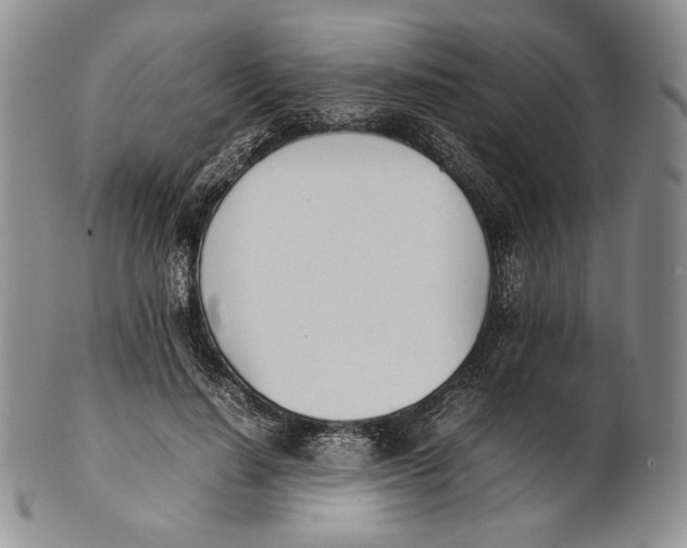 X0000100770644200807101752