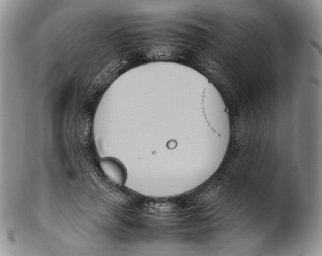 X0000100770645200807101752