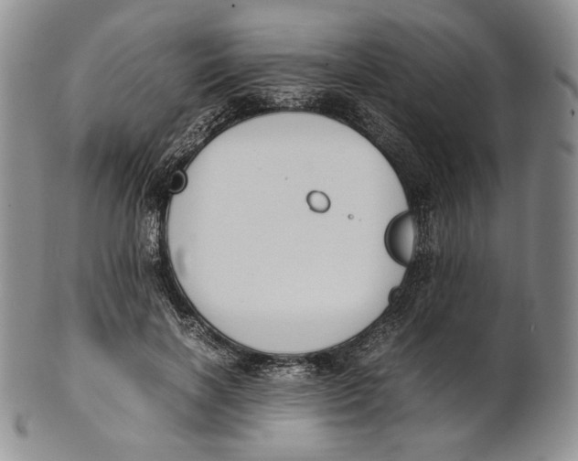X0000100770646200807101752