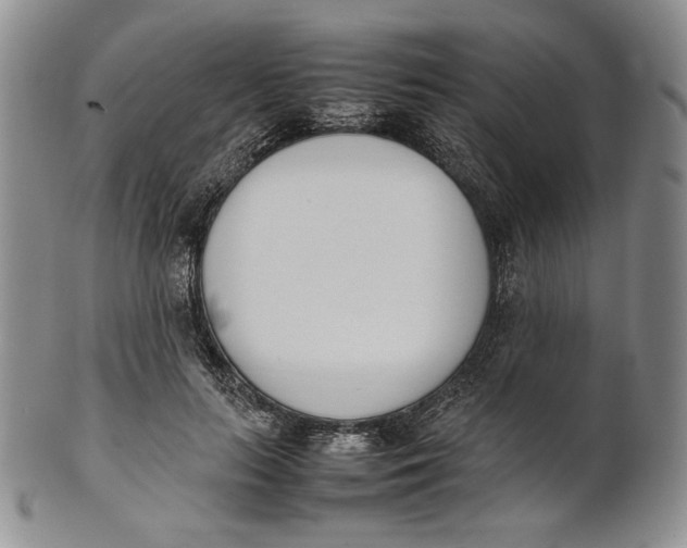 X0000100770647200807101752