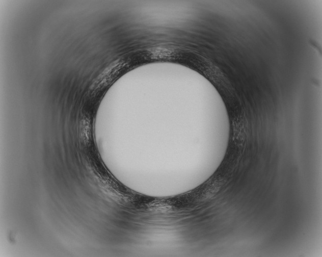 X0000100770648200807101752