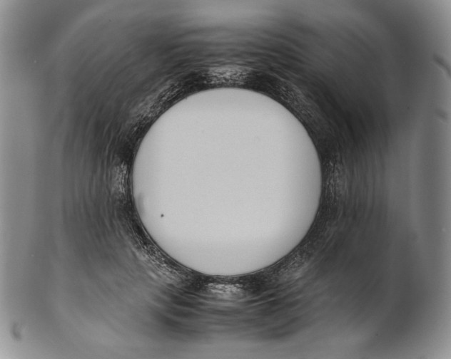 X0000100770649200807101753
