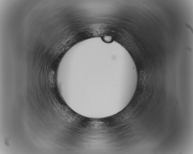 X0000100770650200807101753