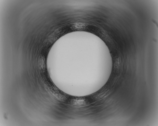X0000100770651200807101753