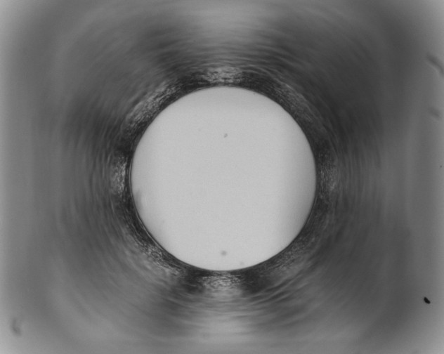 X0000100770652200807101753