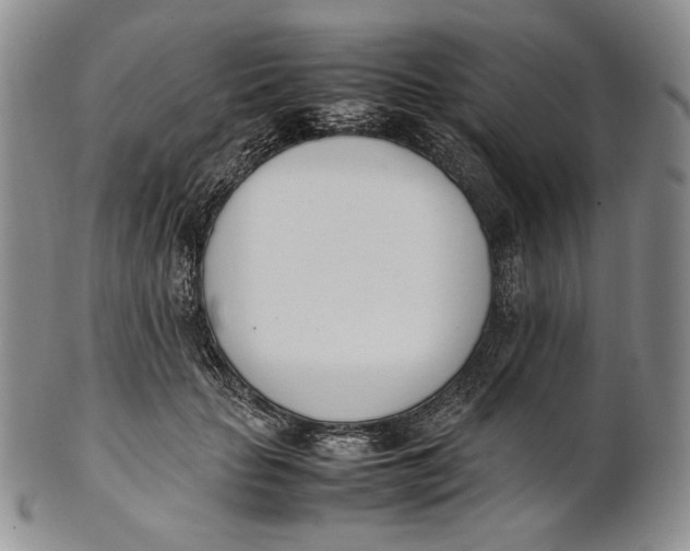 X0000100770653200807101753