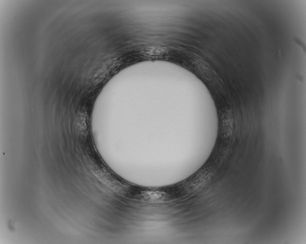 X0000100770654200807101753