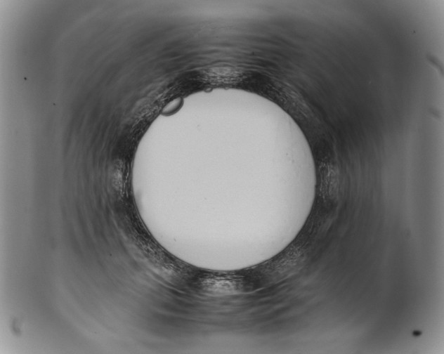X0000100770655200807101753