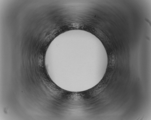 X0000100770656200807101753