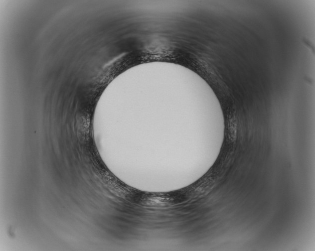 X0000100770657200807101753