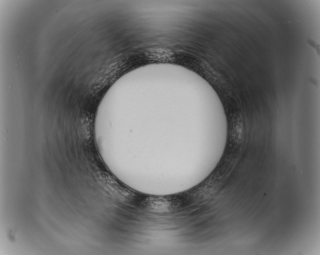 X0000100770658200807101753