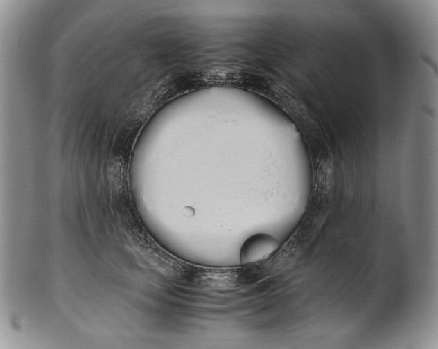 X0000100770659200807101753