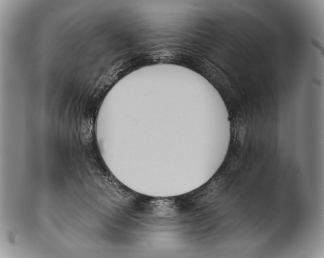 X0000100770660200807101753