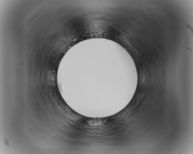 X0000100770661200807101753
