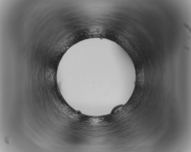 X0000100770662200807101753
