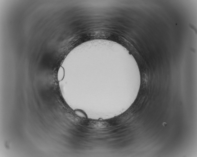 X0000100770663200807101753