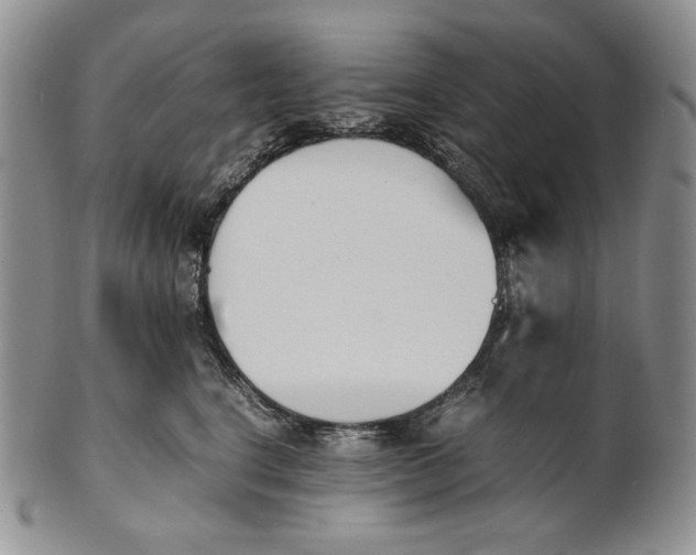 X0000100770664200807101753