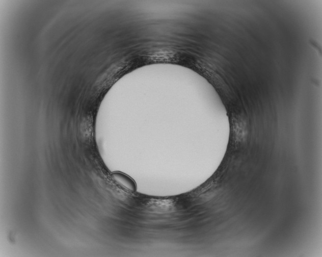 X0000100770665200807101753