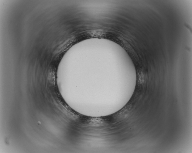 X0000100770666200807101753