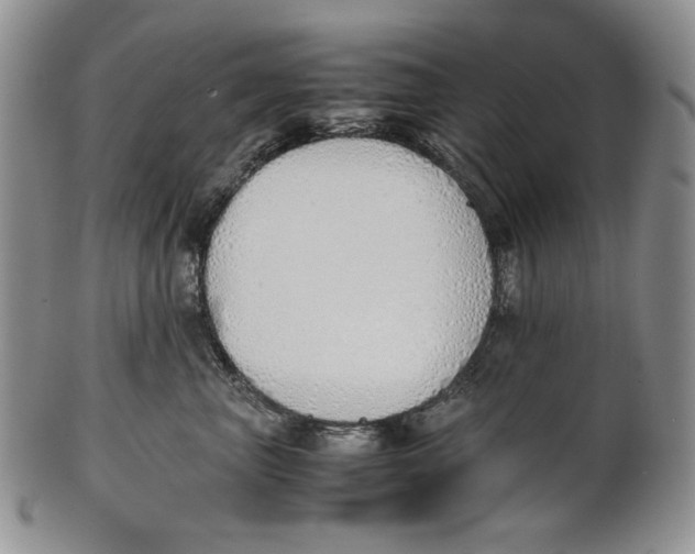 X0000100770667200807101753