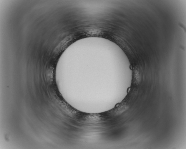X0000100770668200807101753