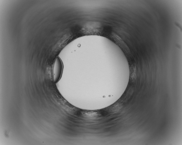 X0000100770669200807101753