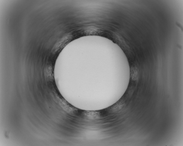 X0000100770670200807101753