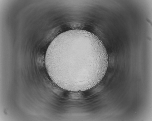 X0000100770671200807101753