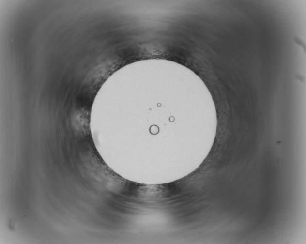 X0000100770672200807101753