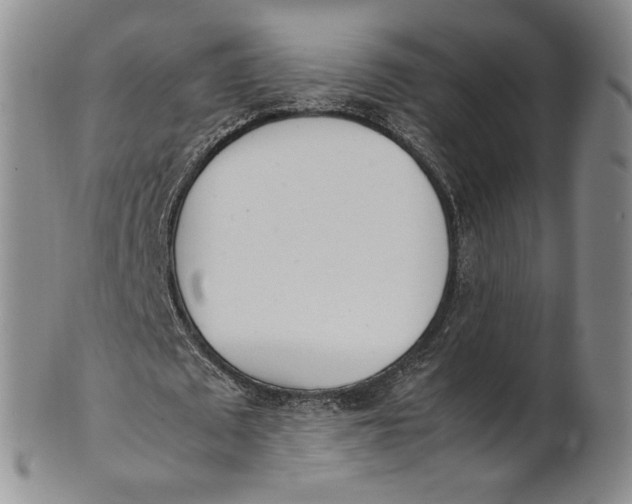 X0000100770673200807101752