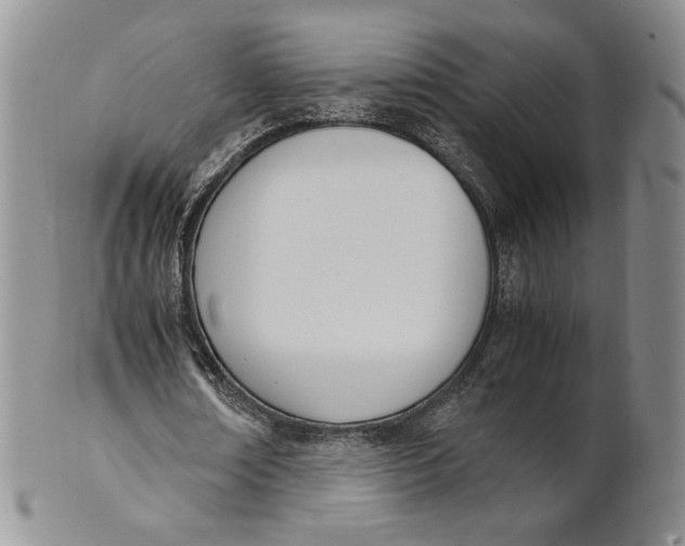 X0000100770674200807101752