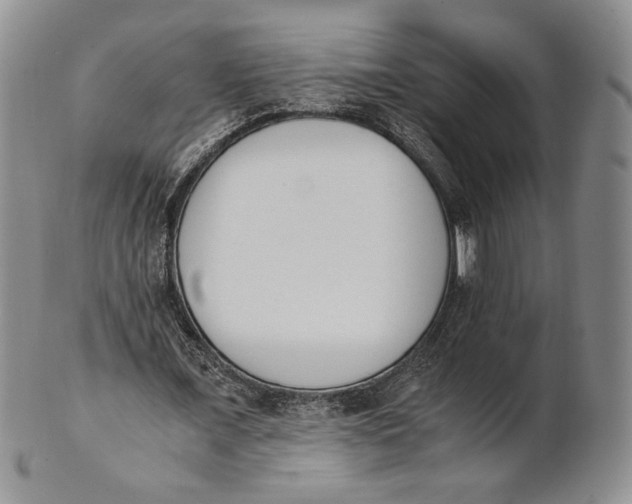 X0000100770675200807101752
