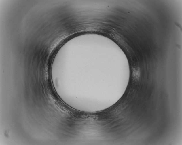 X0000100770676200807101752