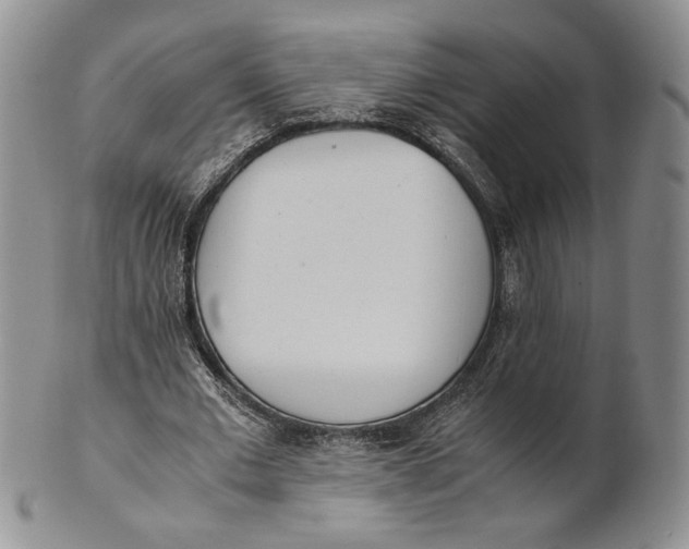 X0000100770677200807101752