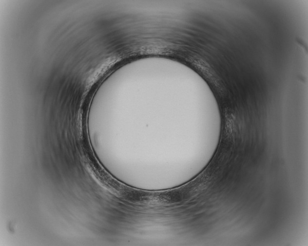 X0000100770678200807101752