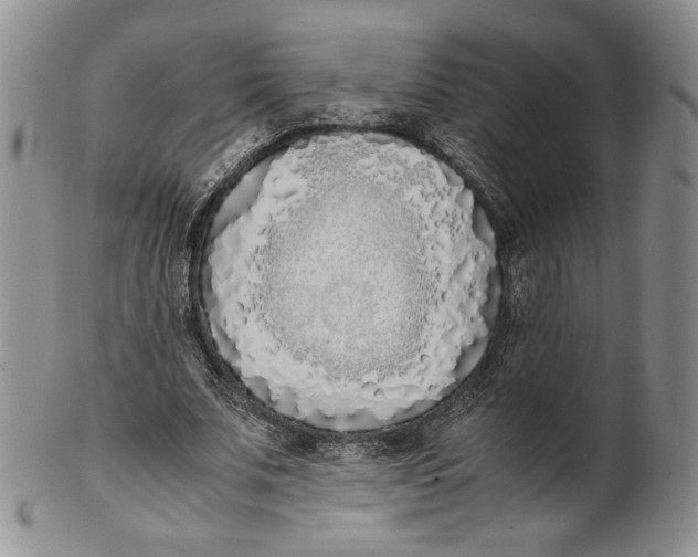 X0000100770679200807101752
