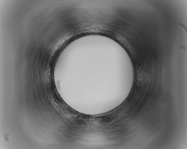 X0000100770680200807101752
