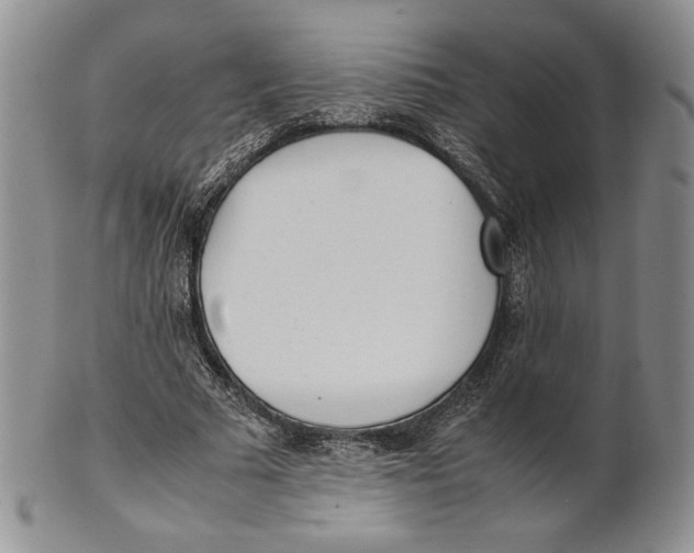 X0000100770681200807101752