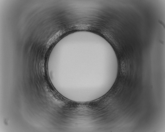 X0000100770682200807101752