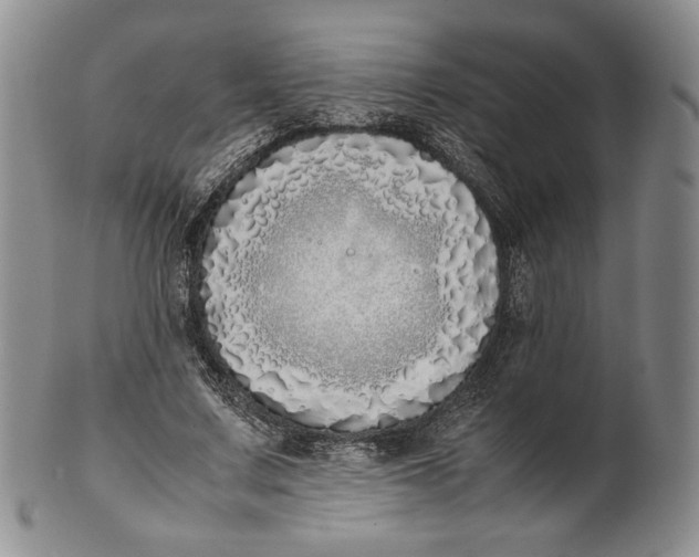 X0000100770683200807101752